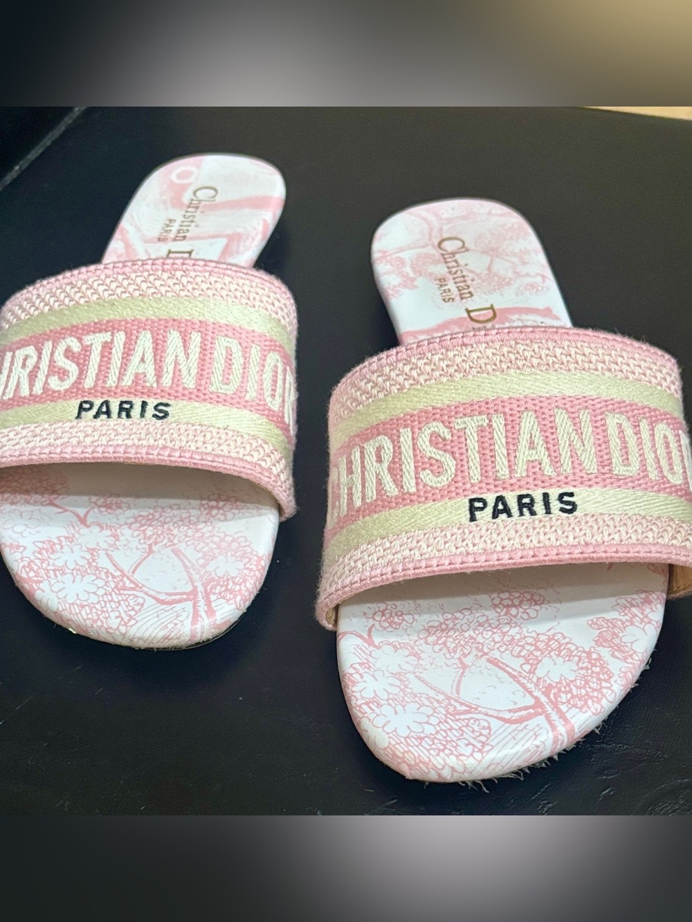 ✨ Christian Dior Dway Slide Sandals Pink Toile de Jouy - Size 38 ✨